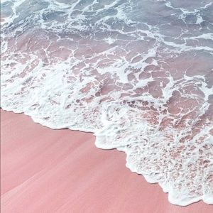 Meet your Posher, Lucy